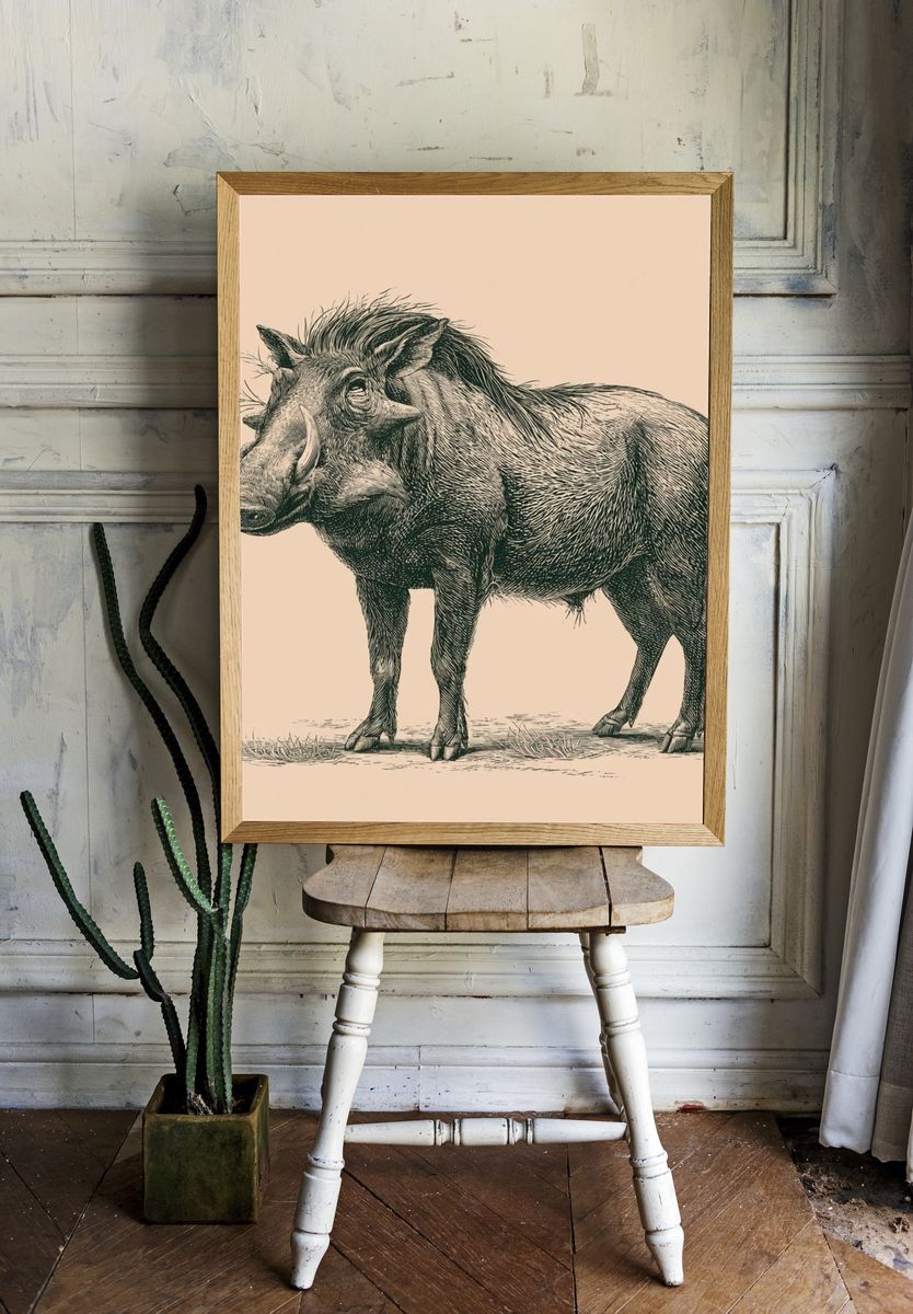Warthog Vintage Illustration Poster. room preview