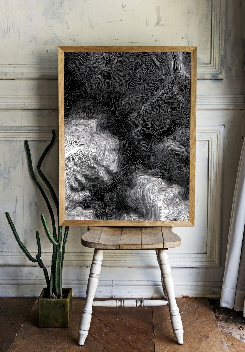 Abstract Black and White Contour Lines Poster room preview