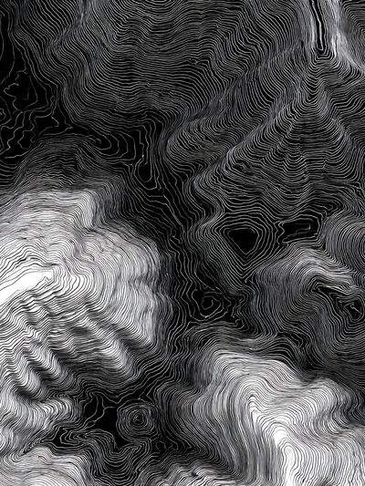 Abstract Black and White Contour Lines Poster. poster print