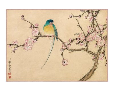 Colorful Bird on Cherry Blossom Branch — Illustration Print. poster