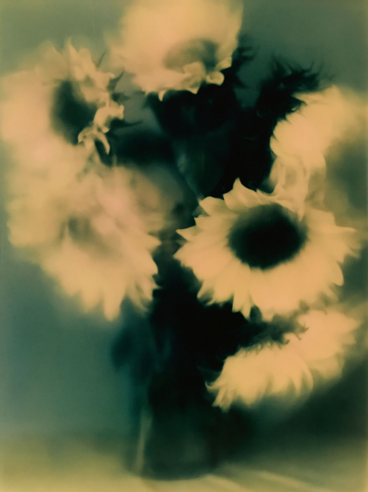 Abstract Floral Bloom Print. poster detail