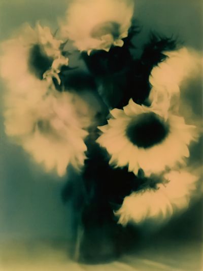 Abstract Floral Bloom Print. poster