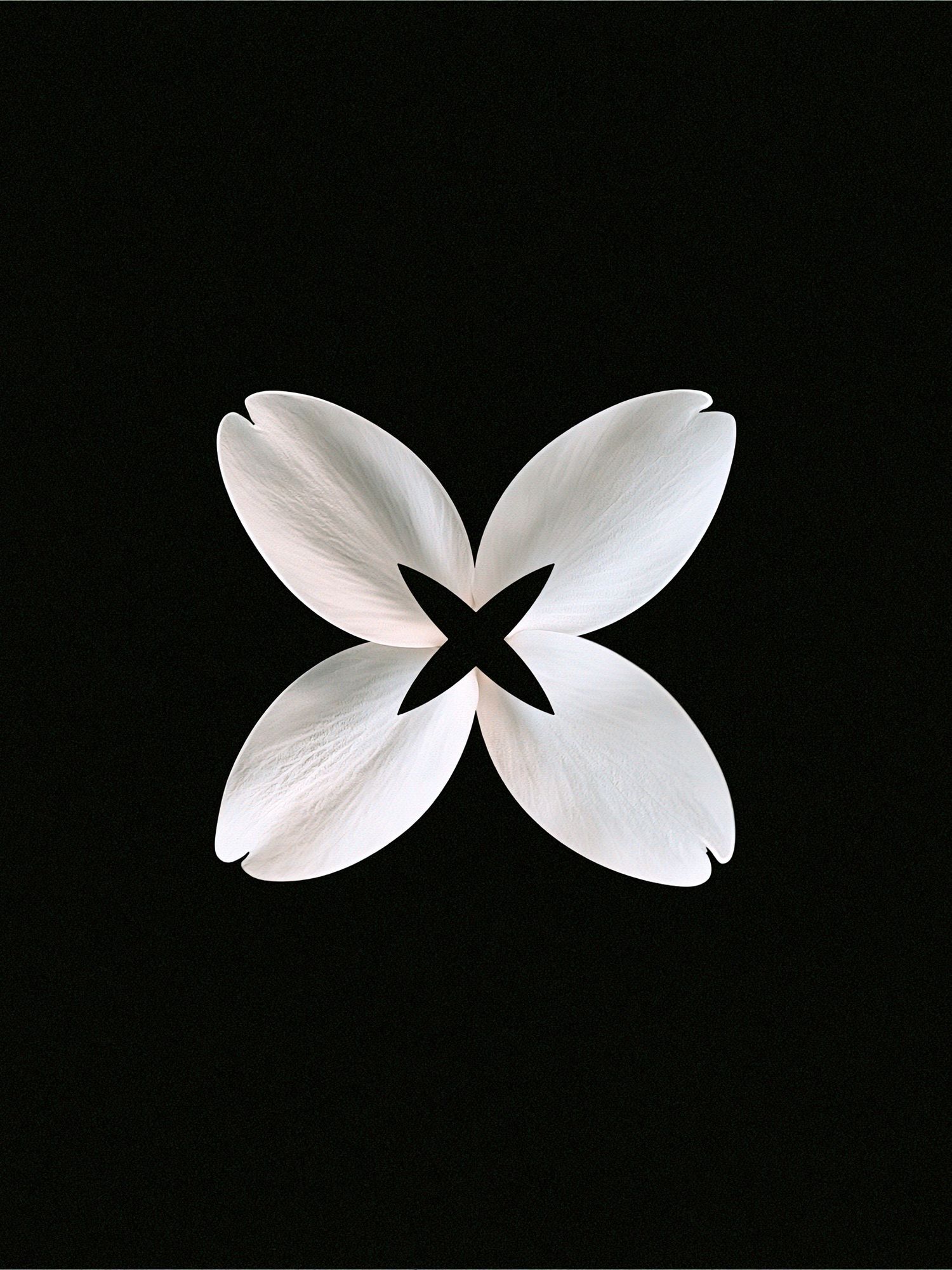 White Petal Bloom Abstract Print. poster detail