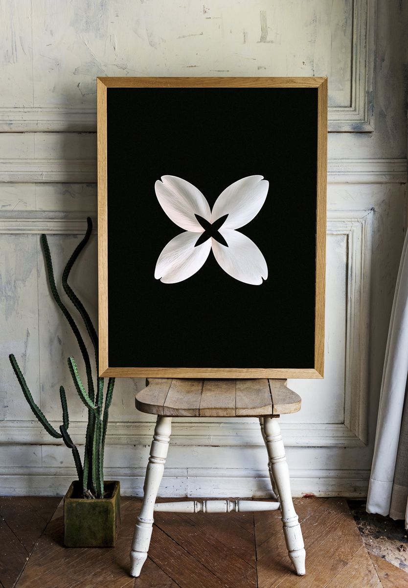 White Petal Bloom Abstract Print. — room view 1
