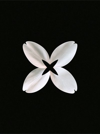 White Petal Bloom Abstract Print. poster