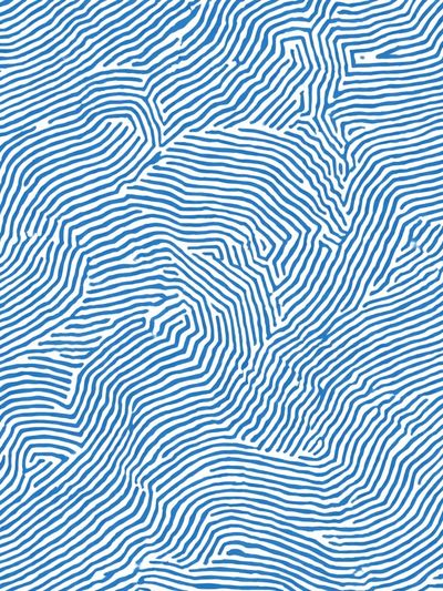 Blue Topographic Lines Abstract Poster. poster print