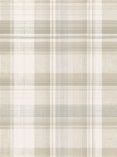 Neutral Plaid Texture Abstract Print.