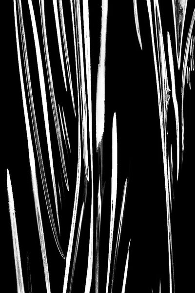 Abstract Black and White Lines Poster. poster print