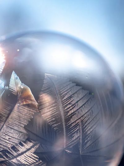Frosted Feather Orb Abstract Poster. poster