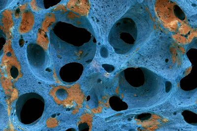 Blue Coral Texture Abstract Poster. poster print