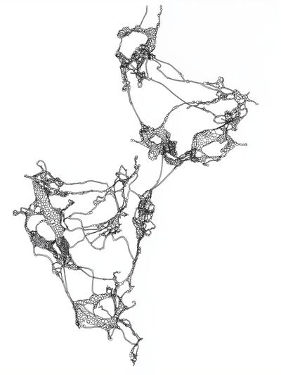 Organic Network Line Art Poster.