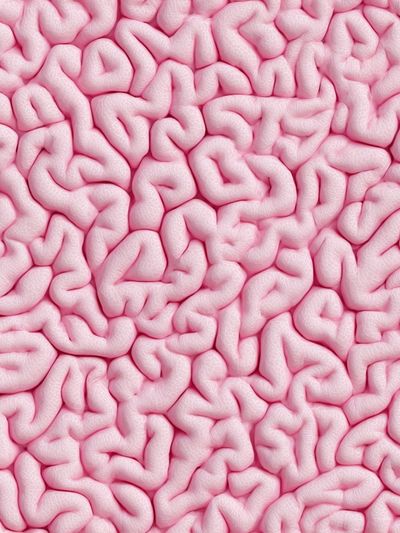 Abstract Brain Texture Poster