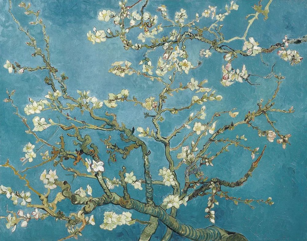 Almond Blossom — Fine Art Print. poster detail