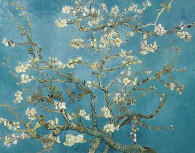 Almond Blossom — Fine Art Print. poster print