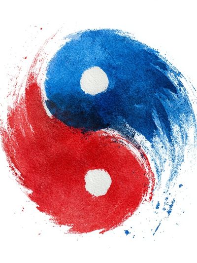 Yin Yang Brushstroke Poster. poster print