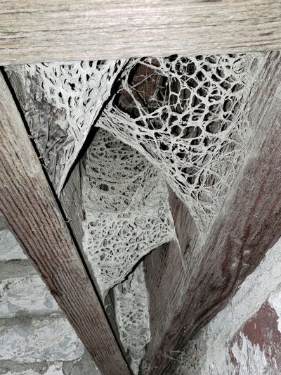 Rustic Wood Texture Abstract Poster. poster print