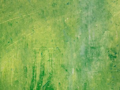 Green wall background, free public. poster print
