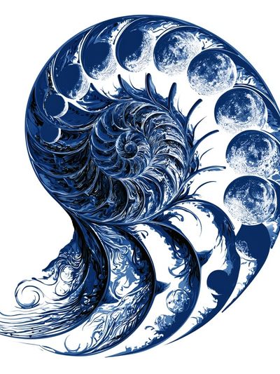 Celestial Nautilus Abstract Print.
