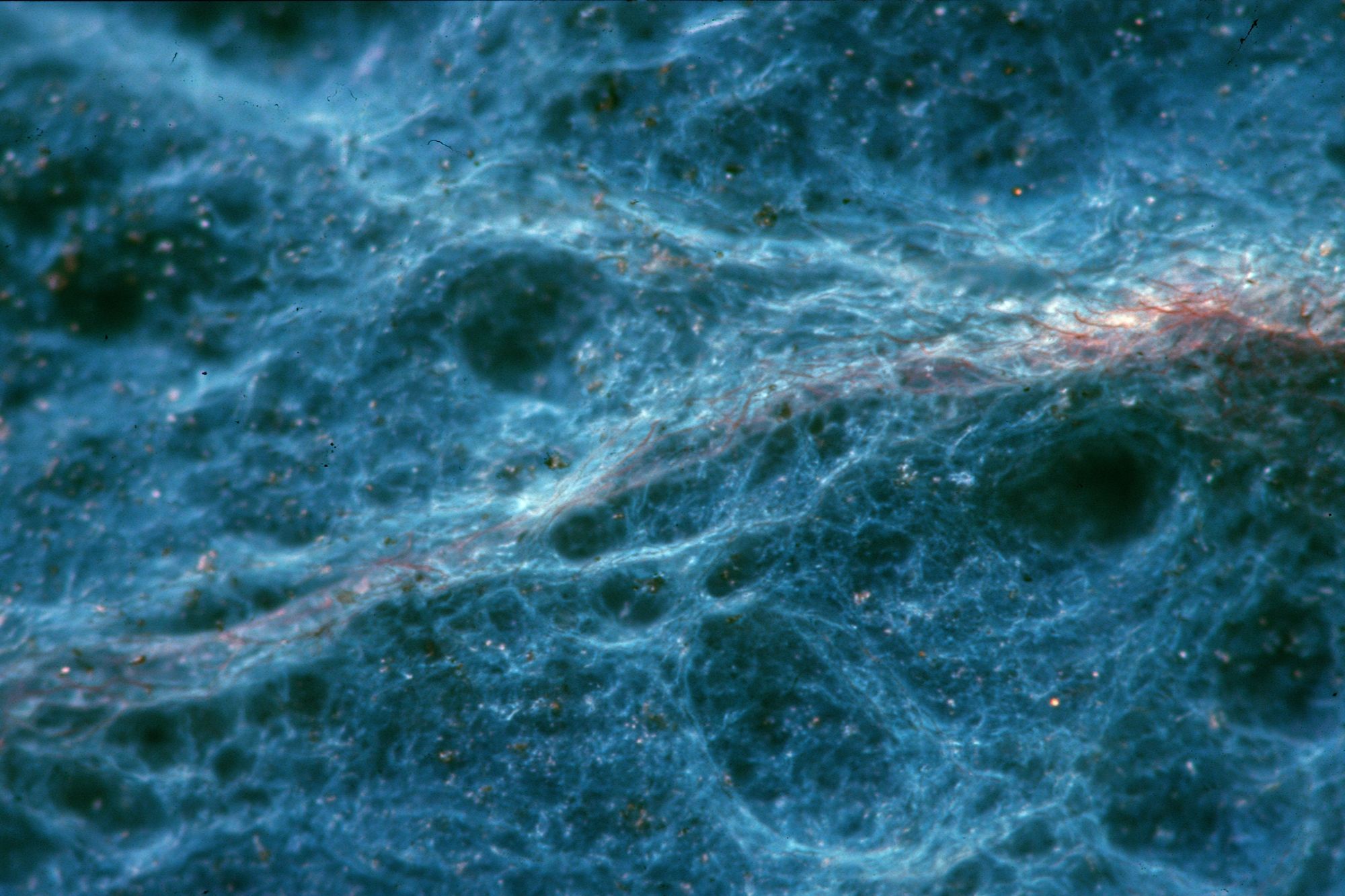 Blue Nebula Abstract Print. poster detail