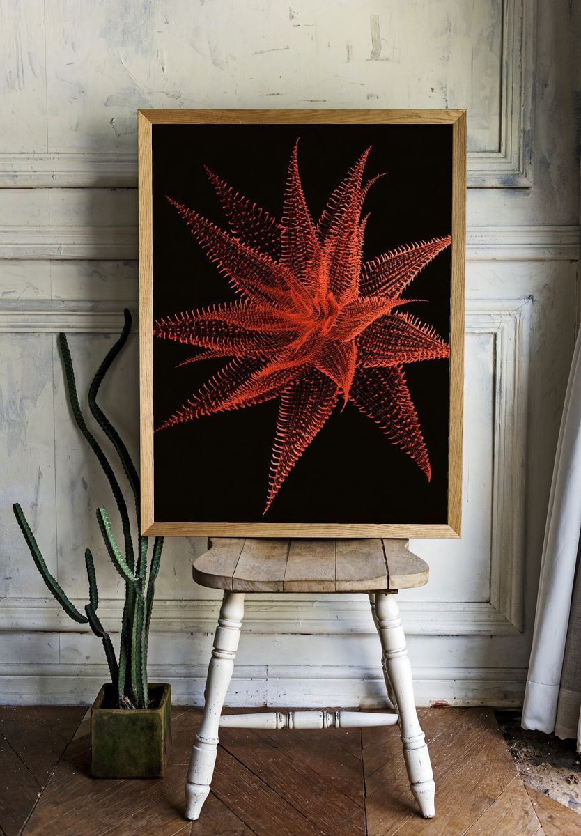 Crimson Starburst Abstract Print. — room view 1