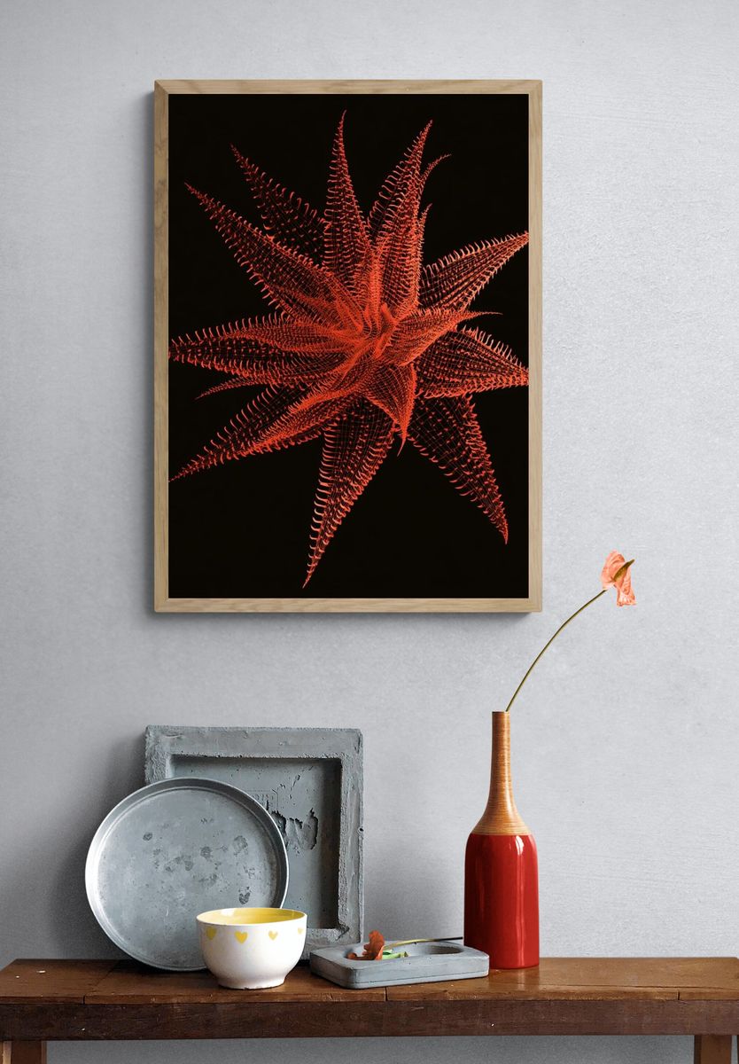 Crimson Starburst Abstract Print. — room view 3