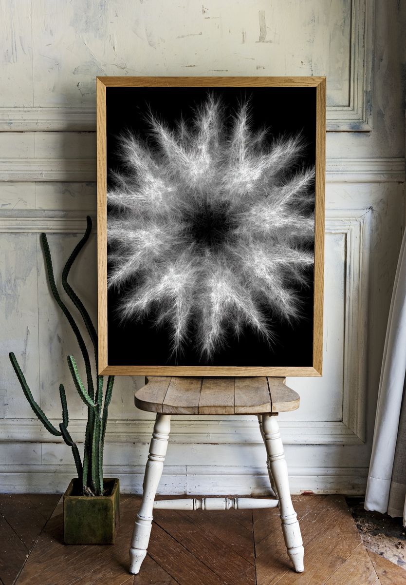 Feather Burst Abstract Print. room preview