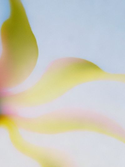 Soft Yellow Abstract Flow Poster.