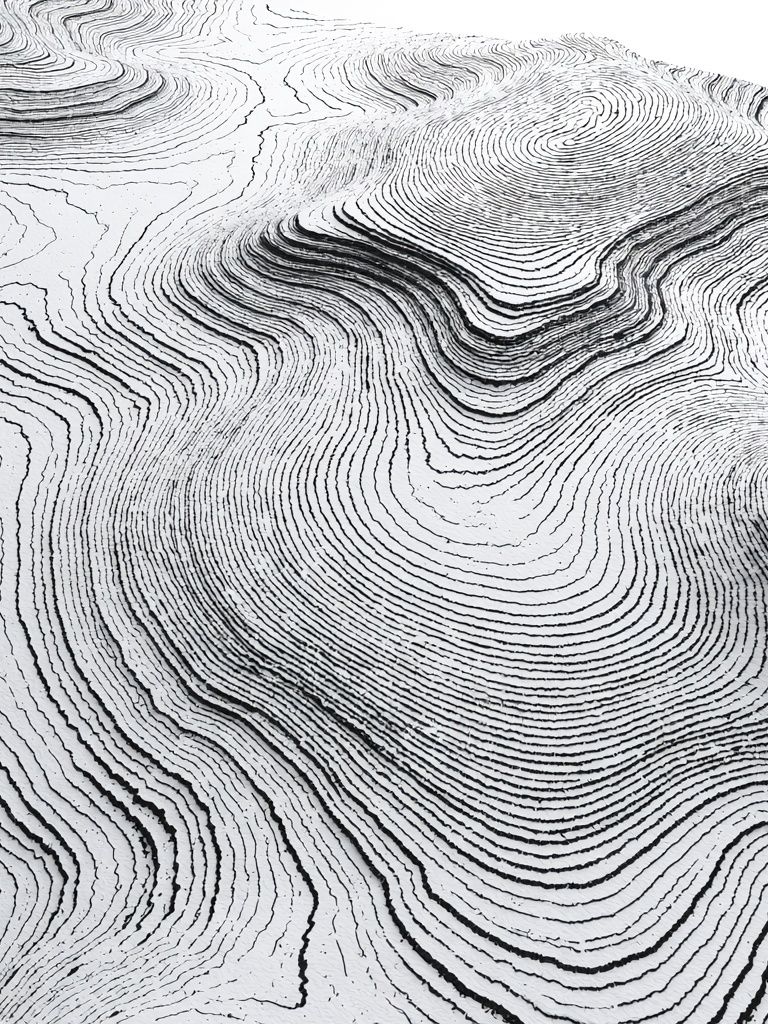 Contour Lines Abstract Poster. poster detail