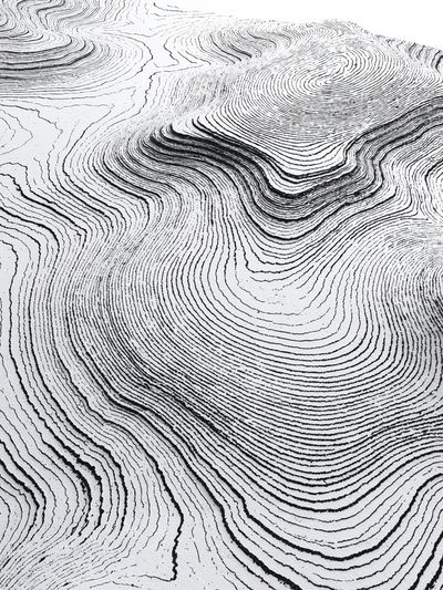 Contour Lines Abstract Poster. poster