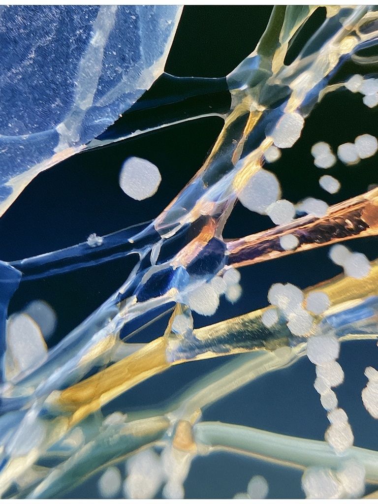 Ice Crystal Abstract Poster. poster — abstract art