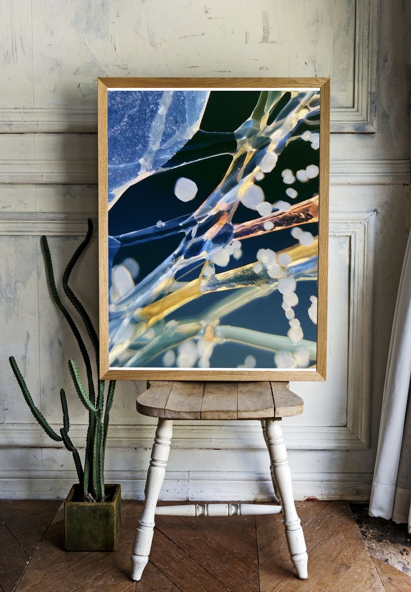 Ice Crystal Abstract Poster. room preview