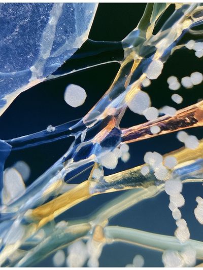 Ice Crystal Abstract Poster. poster print