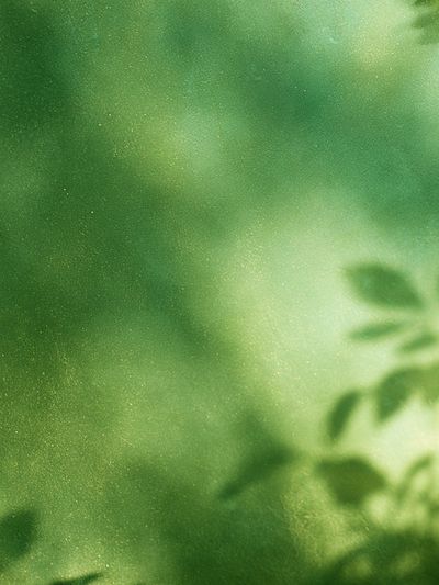 Soft Green Foliage Abstract Print. poster