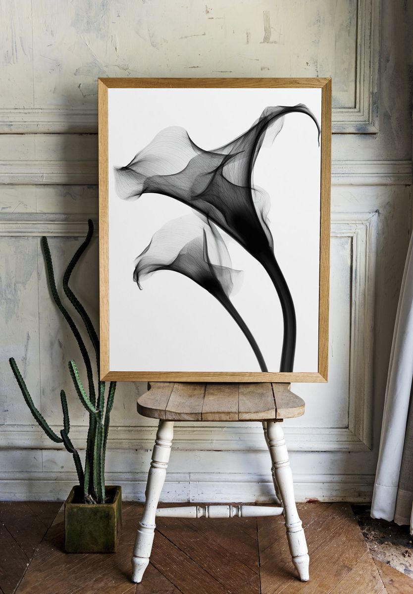 Abstract Smoke Flow Print. room preview