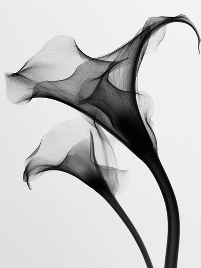 Abstract Smoke Flow Print.