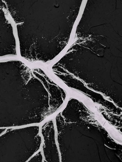 Cracked Marble Veins Abstract Poster. poster print
