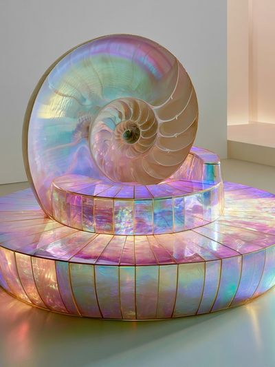 Iridescent Nautilus Sculpture Print. poster