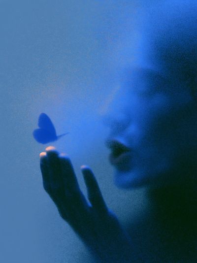 Blue Butterfly Silhouette Abstract Print. poster print