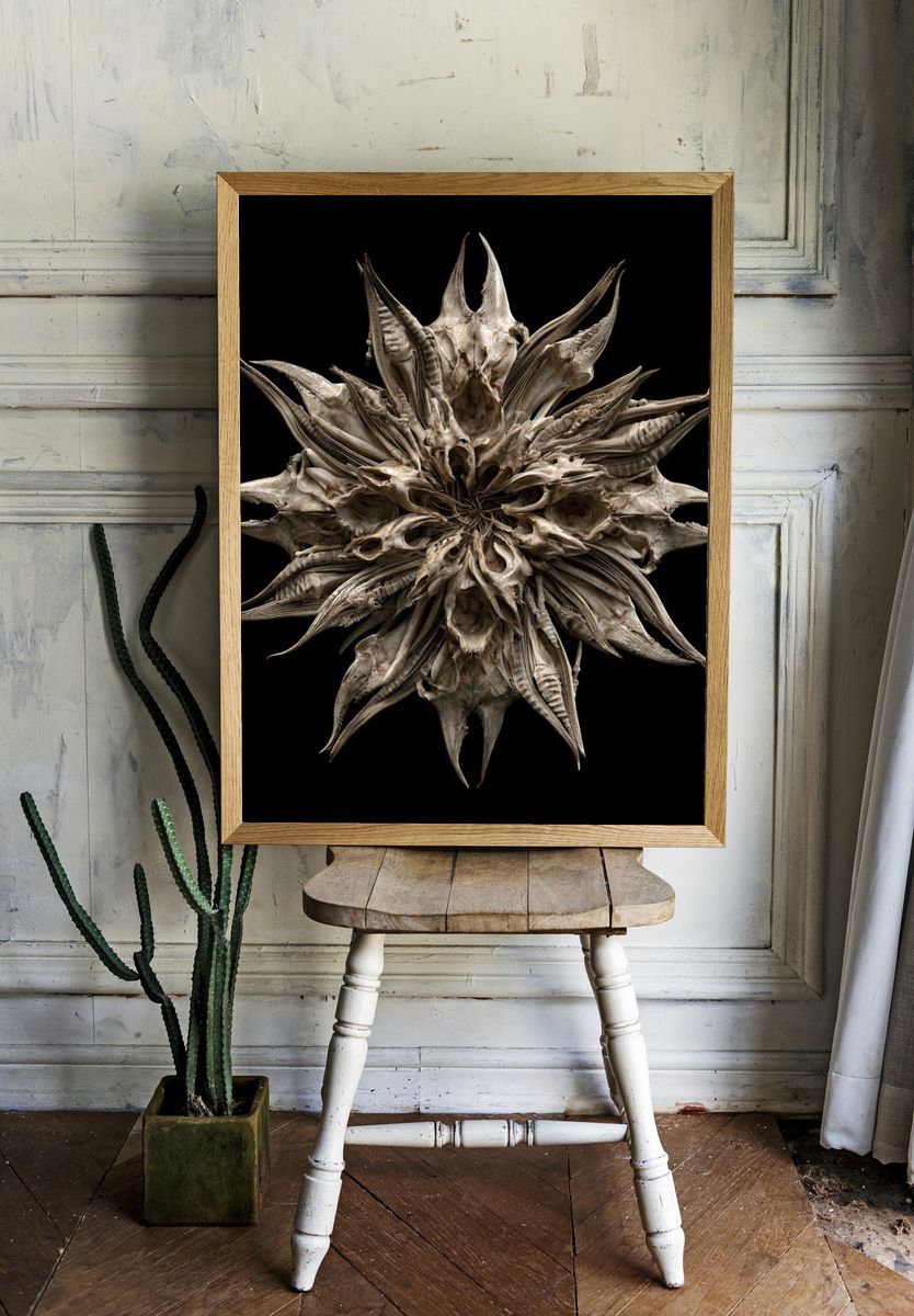 Bone Starburst Abstract Print. — room view 1