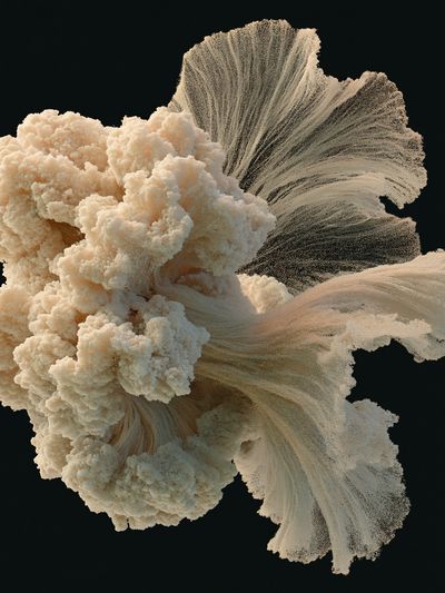 Cream Coral Abstract Poster.