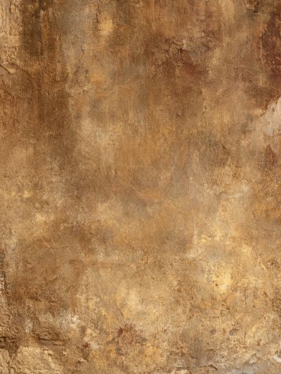 Earthy Stone Texture Abstract Poster. poster