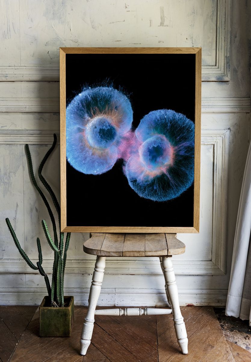 Bioluminescent Jellyfish Abstract Print. — room view 1
