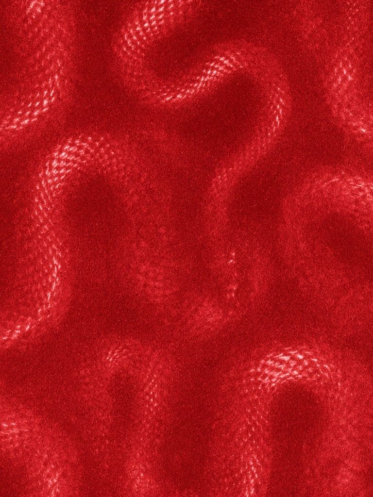 Crimson Velvet Texture Poster. poster — abstract art