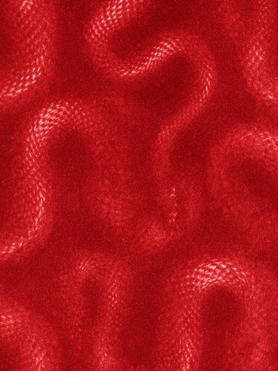 Crimson Velvet Texture Poster. poster
