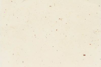 Plain beige wallpaper background blank.