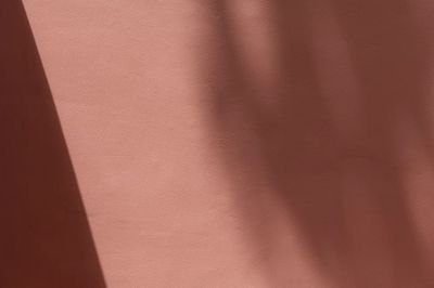 Blank pink wall with shadows. poster print