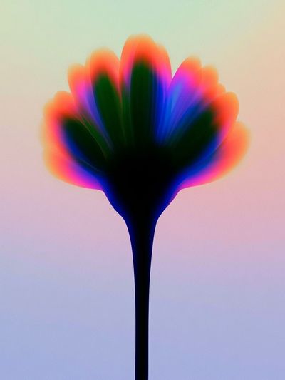 Neon Bloom Abstract Poster. poster