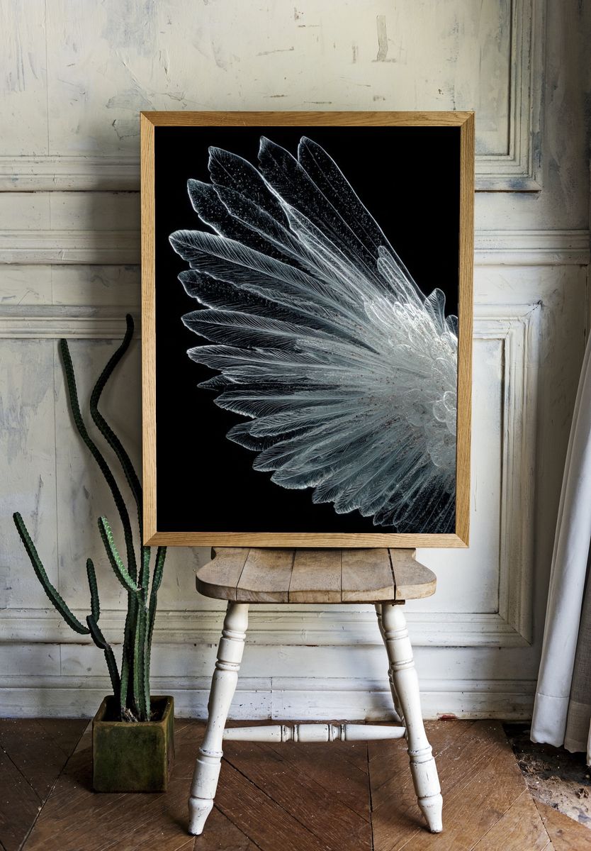 Crystal Feather Abstract Print room preview