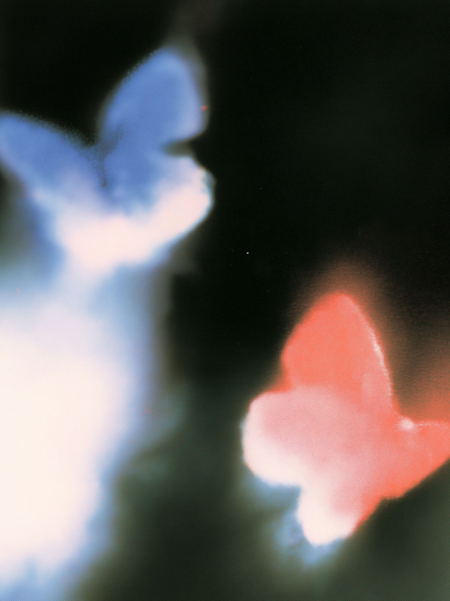 Dreamy Butterfly Abstract Print. poster — abstract art