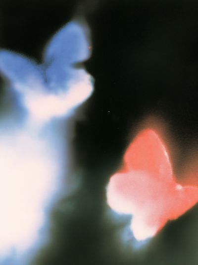 Dreamy Butterfly Abstract Print.